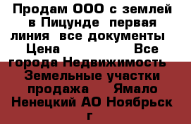 Продам ООО с землей в Пицунде, первая линия, все документы › Цена ­ 9 000 000 - Все города Недвижимость » Земельные участки продажа   . Ямало-Ненецкий АО,Ноябрьск г.